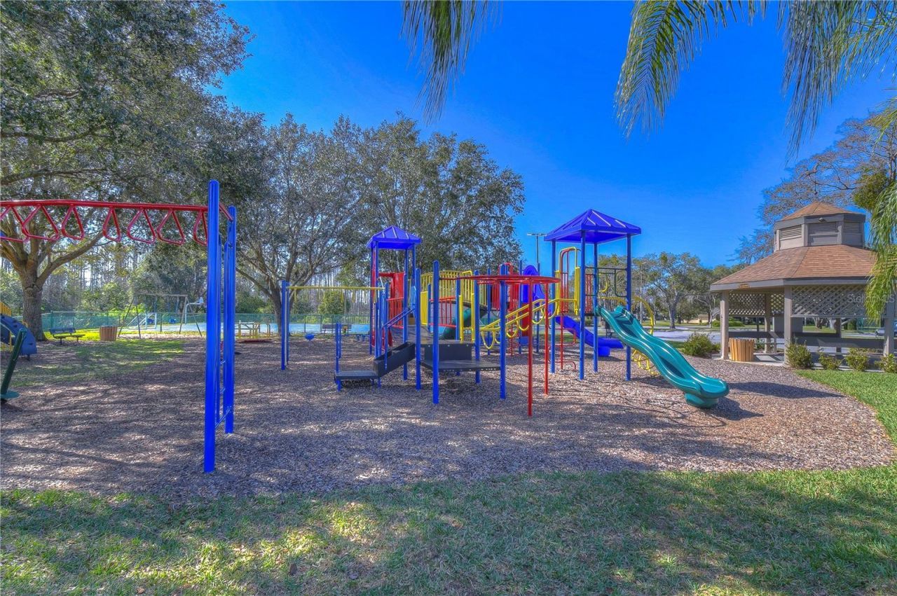 6608 Thoroughbred Loop , Odessa, FL 33556 Photo