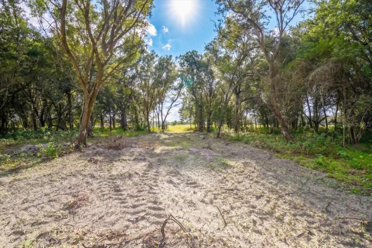 Gill Road , Myakka City, FL 34251 Photo