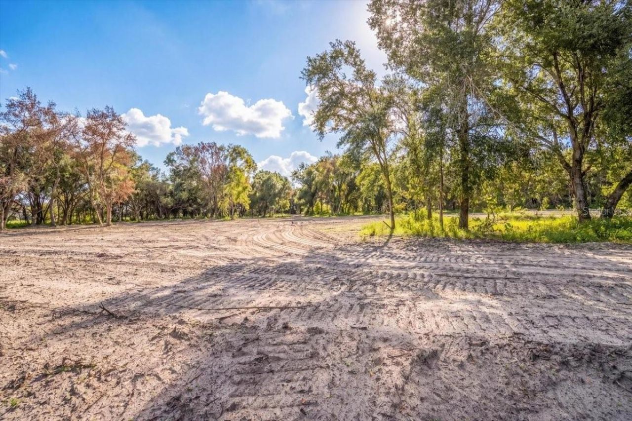 Gill Road , Myakka City, FL 34251 Photo