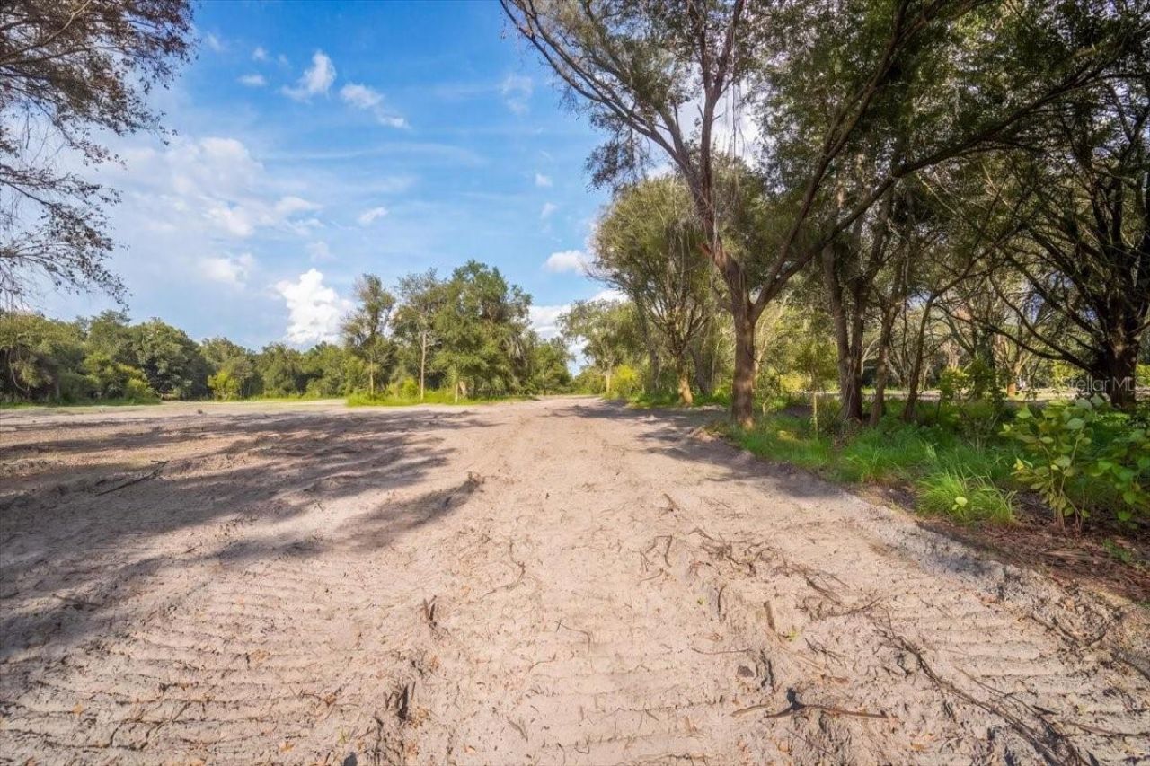 Gill Road , Myakka City, FL 34251 Photo