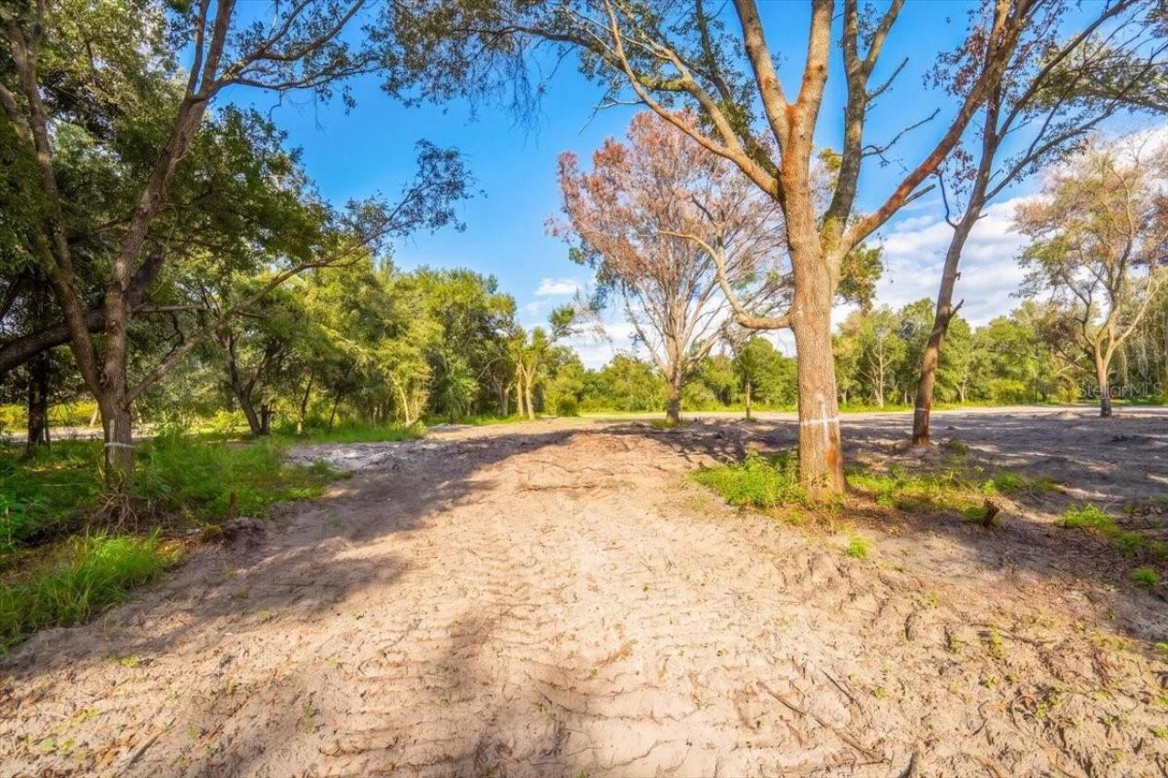 Gill Road , Myakka City, FL 34251 Photo