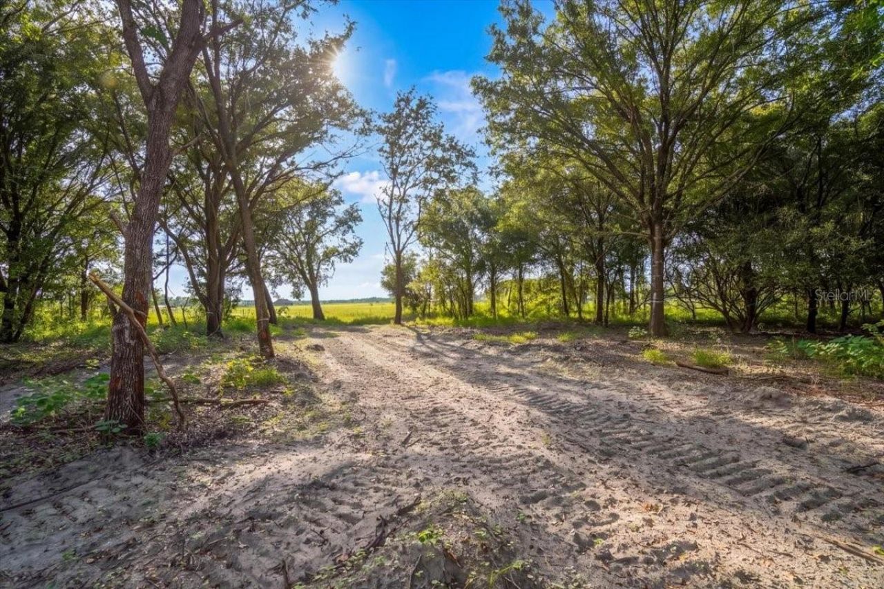 Gill Road , Myakka City, FL 34251 Photo