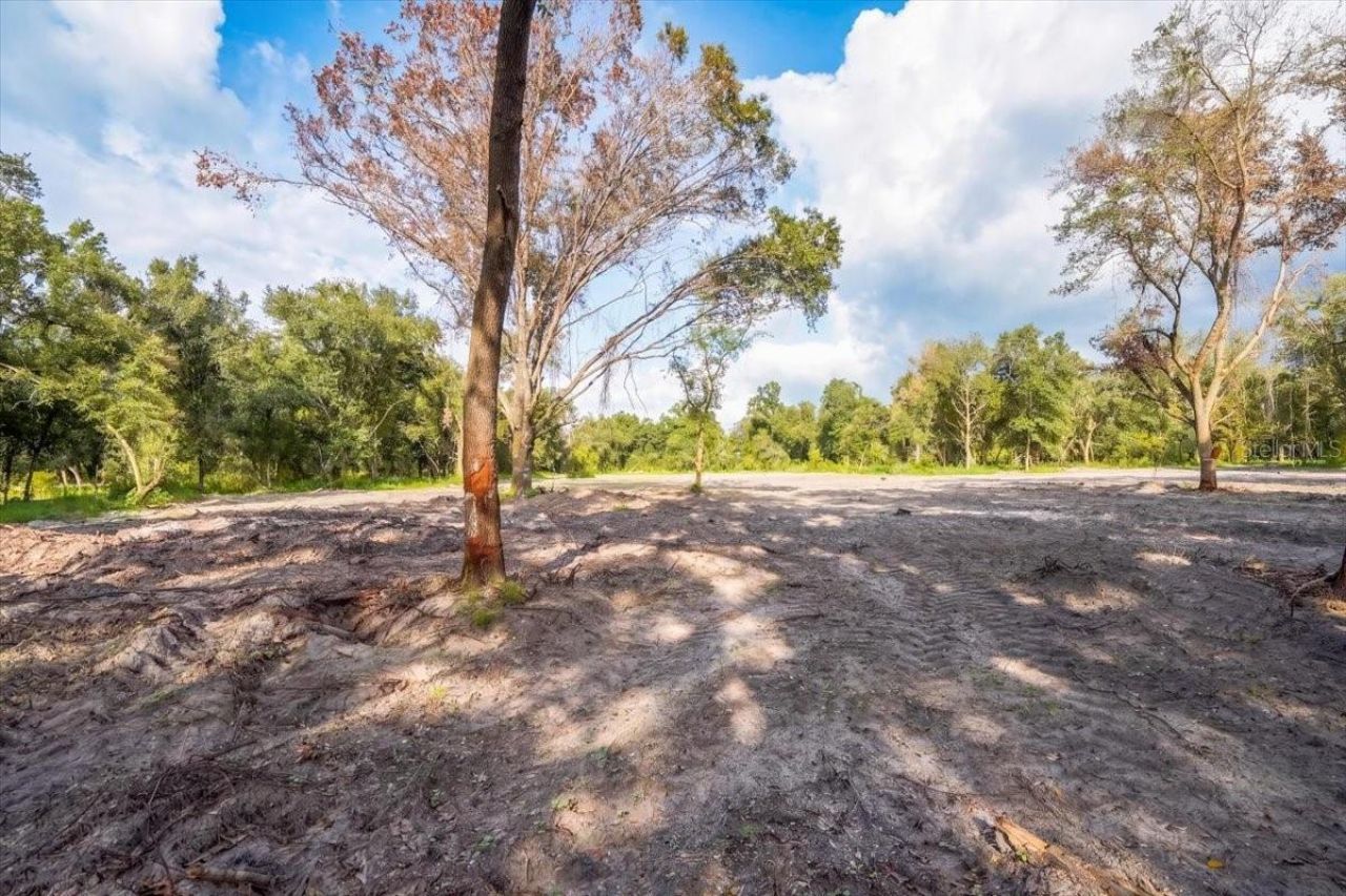 Gill Road , Myakka City, FL 34251 Photo