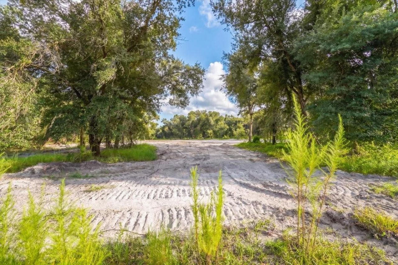 Gill Road , Myakka City, FL 34251 Photo