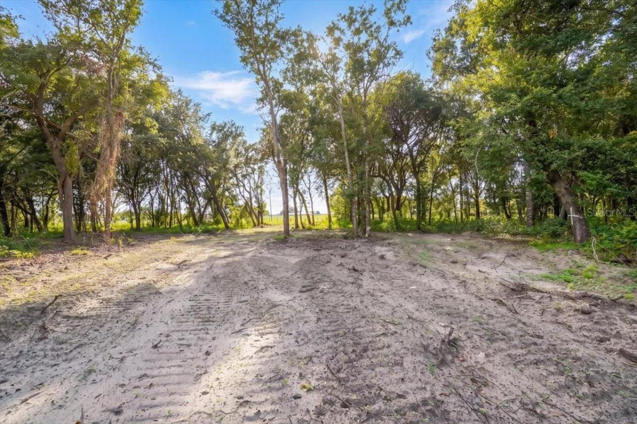 Gill Road , Myakka City, FL 34251 Photo