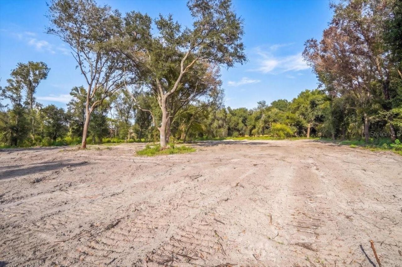 Gill Road , Myakka City, FL 34251 Photo