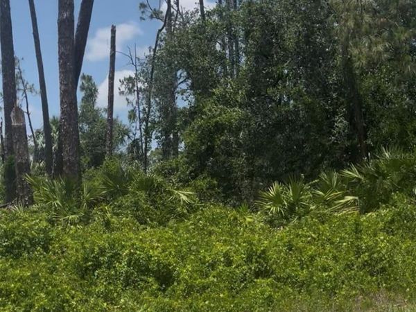 TEPEE AVENUE, NORTH PORT, FL 34291