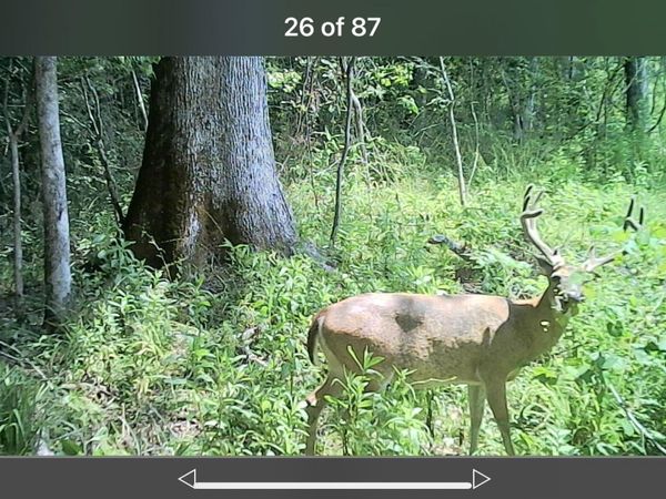 2490 S Shady Grove Road, Goodman, MS 39079