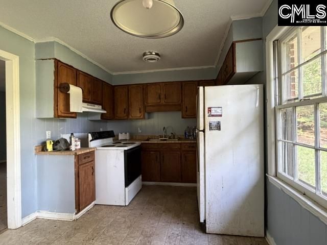 778 Tyger River Road  Photo 10