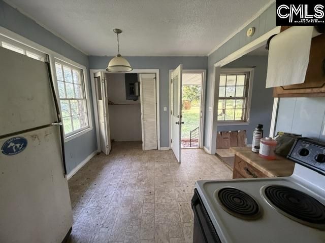 778 Tyger River Road  Photo 12