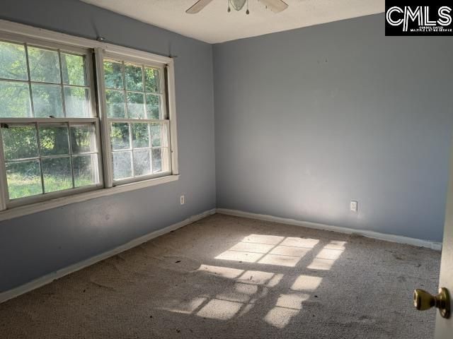 778 Tyger River Road  Photo 15