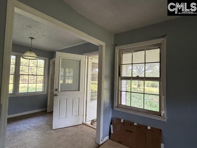 778 Tyger River Road  Photo 7