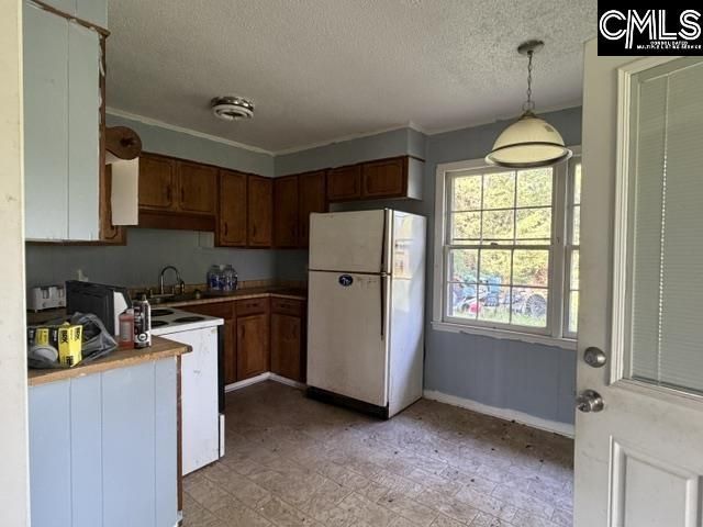 778 Tyger River Road  Photo 8