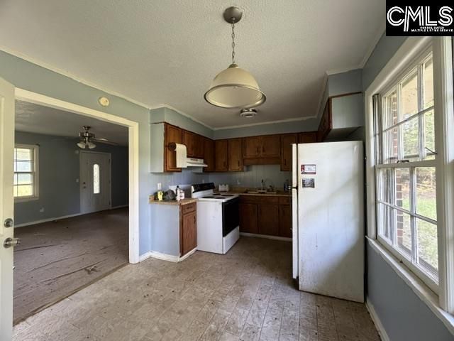778 Tyger River Road  Photo 9