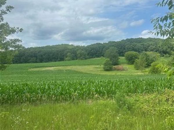 10925 S Hemlock Road, Mondovi, WI 54755