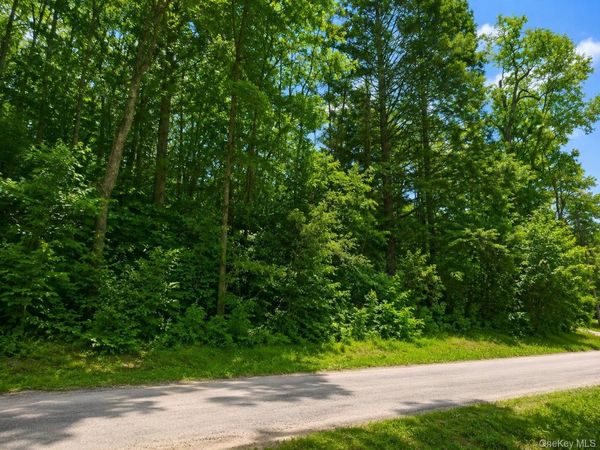 Benton Hollow Road , Neversink, NY 12765