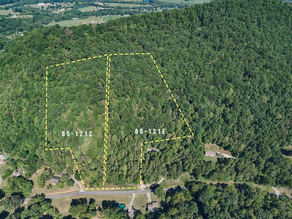 0 Pico RD , Buchanan, VA 24066