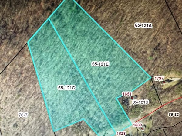0 Pico RD , Buchanan, VA 24066