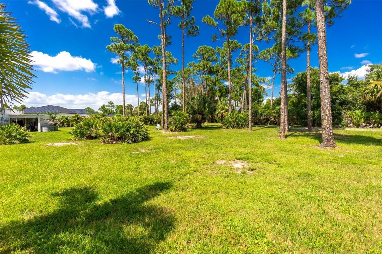 29494 Clark Drive, Punta Gorda, FL 33982 Photo