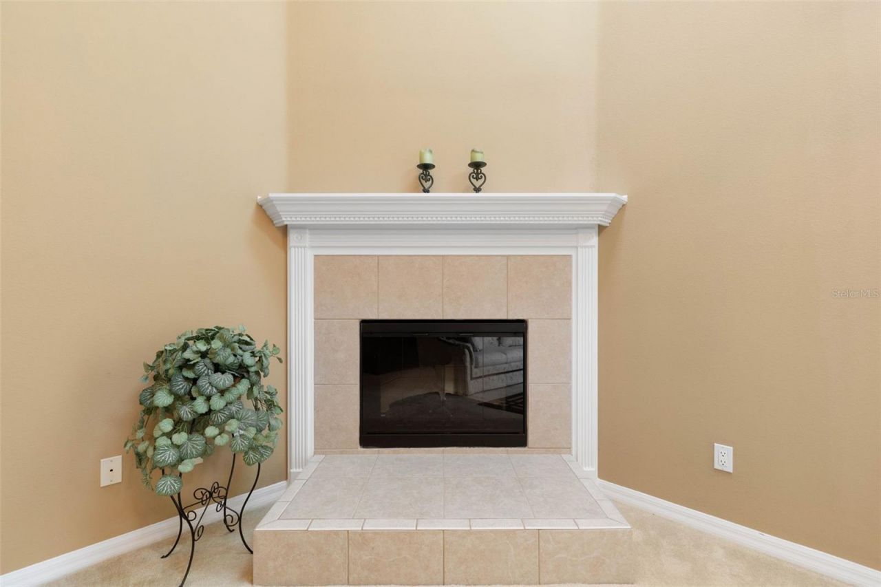18 Squirrel Place, Palm Coast, FL 32164 Photo
