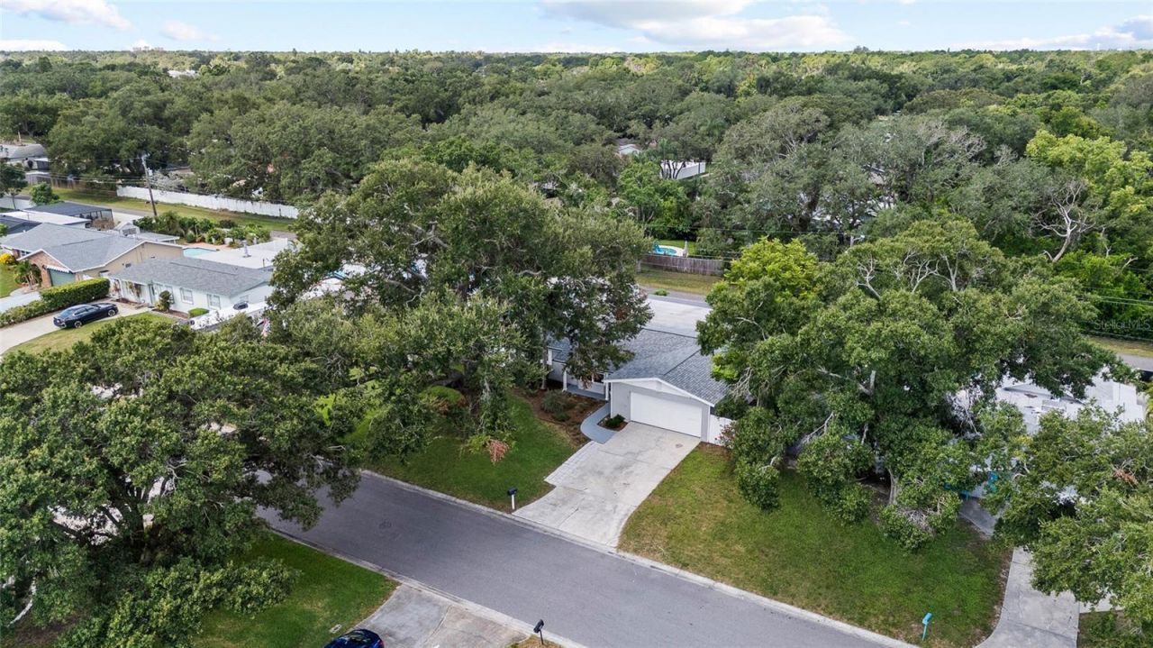 11290 116th Street, Largo, FL 33778 Photo
