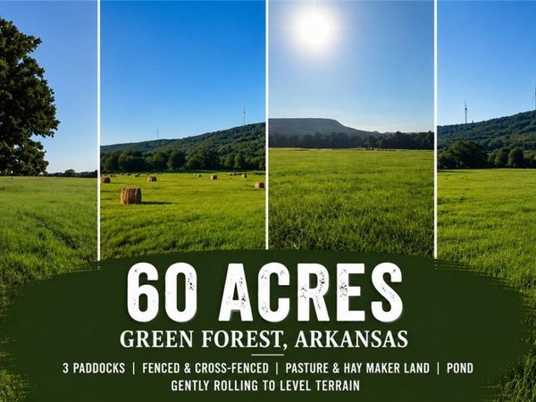 Tbd County Road 906 , Green Forest, AR 72638