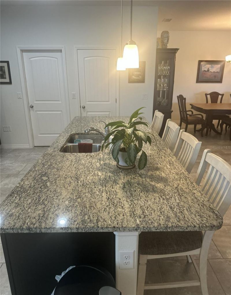 226 Brunswick Drive , Davenport, FL 33837 Photo