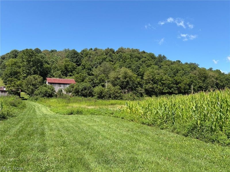 38923 Stonehouse Road, Woodsfield, OH 43793 Photo 3