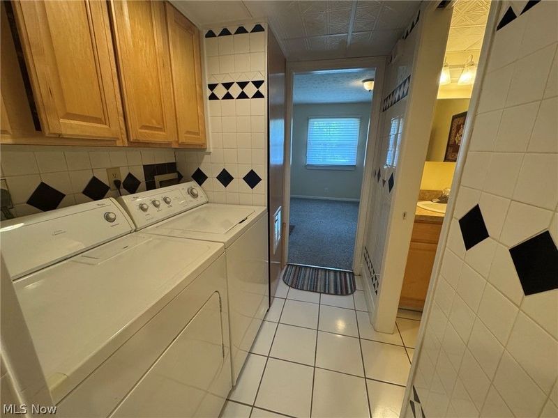 118 New Concord Drive, Mentor, OH 44060 Photo 13
