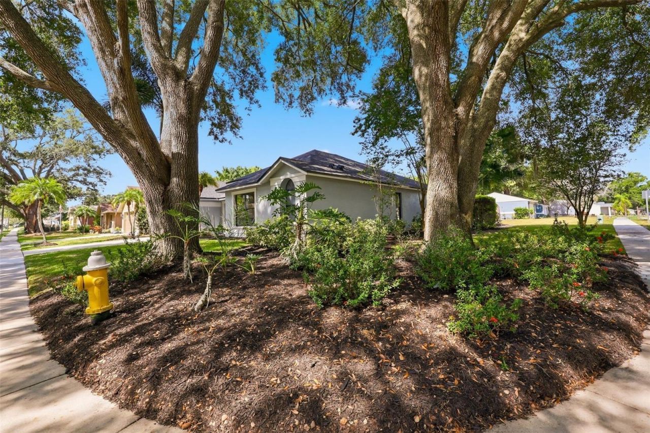 3040 Windridge Oaks Drive , Palm Harbor, FL 34684 Photo
