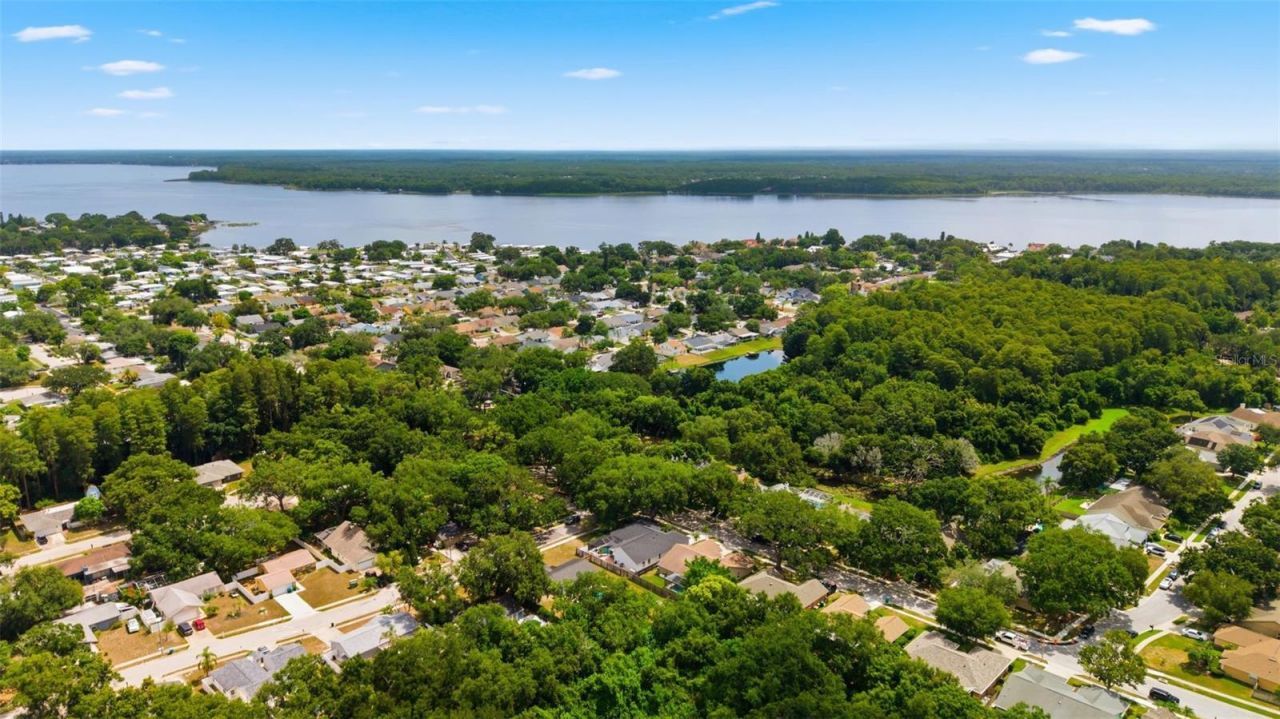 3040 Windridge Oaks Drive , Palm Harbor, FL 34684 Photo