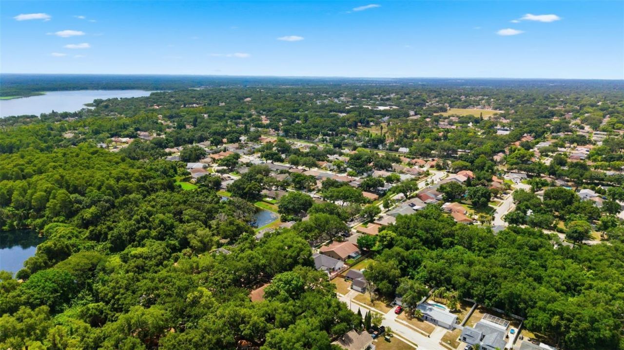 3040 Windridge Oaks Drive , Palm Harbor, FL 34684 Photo