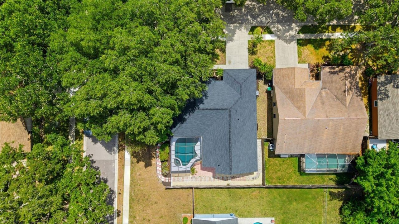 3040 Windridge Oaks Drive , Palm Harbor, FL 34684 Photo