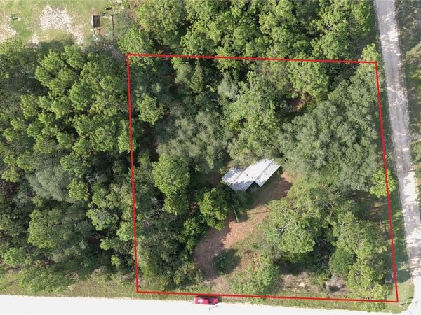 650 NE 138 AVENUE , WILLISTON, FL 32696