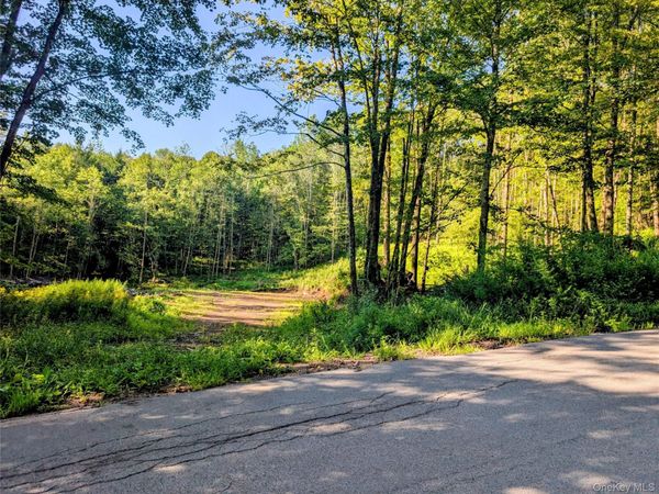 Hurd Road , Swan Lake, NY 12720