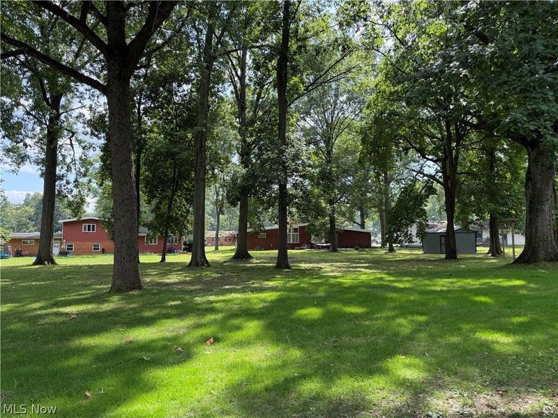 447 Catherine Street, Liberty, OH 44505 Photo 37