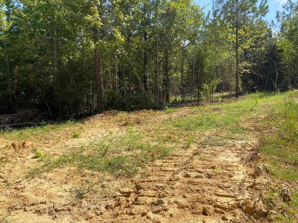 OTIS PAINE RD, Bethel Springs, TN 38315