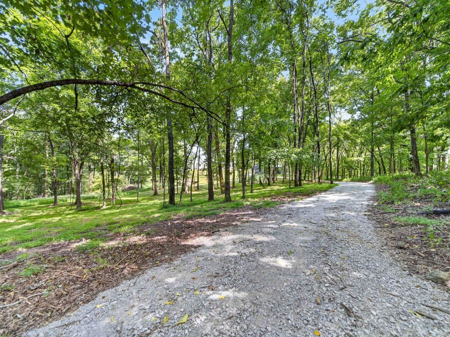 Property Image 100