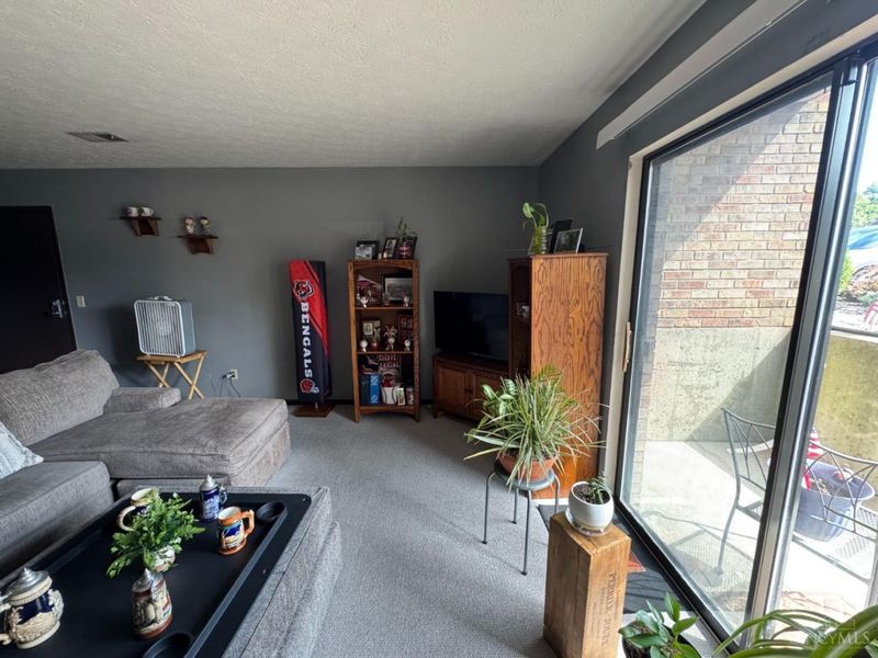 7233 Creekview Drive, Unit 1, Cincinnati, OH 45247 Photo 26