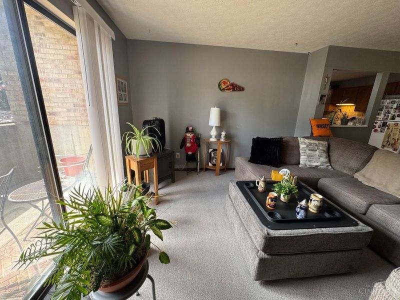 7233 Creekview Drive, Unit 1, Cincinnati, OH 45247 Photo 28