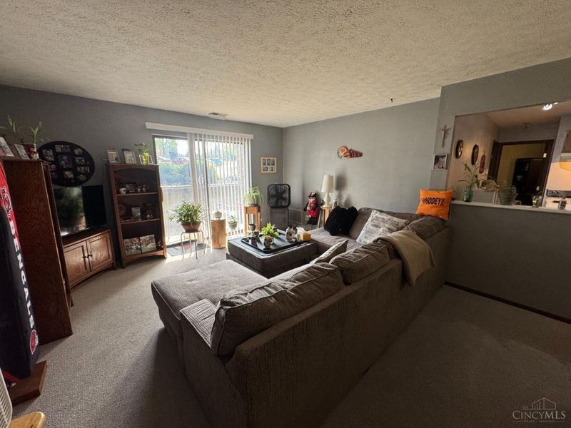 7233 Creekview Drive, Unit 1, Cincinnati, OH 45247 Photo 3