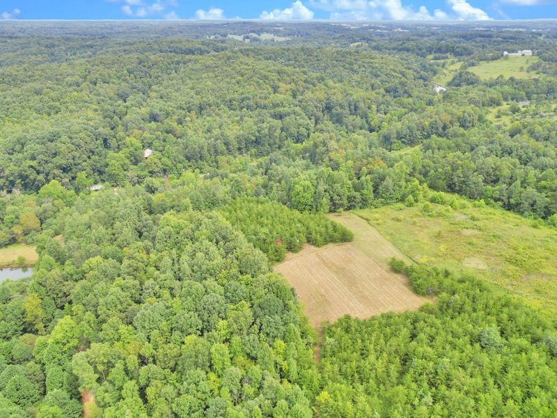 1480 Dark Hollow Road , Jackson, OH 45640 Photo 12