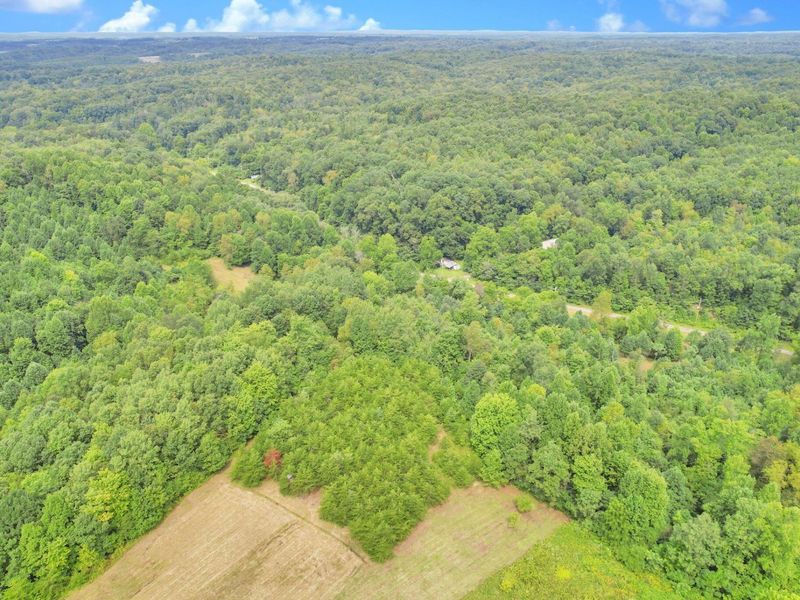 1480 Dark Hollow Road , Jackson, OH 45640 Photo 14