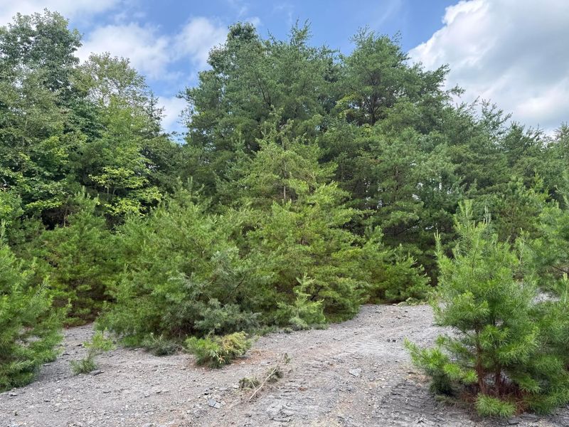 1480 Dark Hollow Road , Jackson, OH 45640 Photo 24
