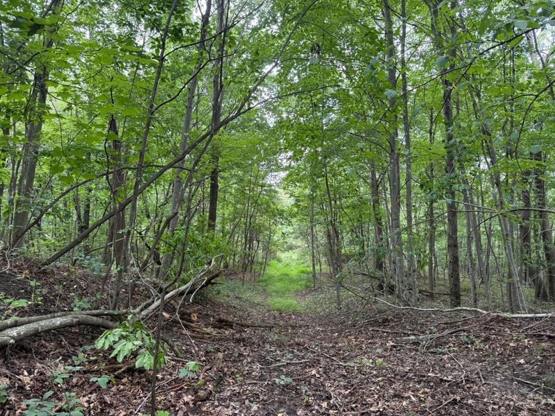1480 Dark Hollow Road , Jackson, OH 45640 Photo 31