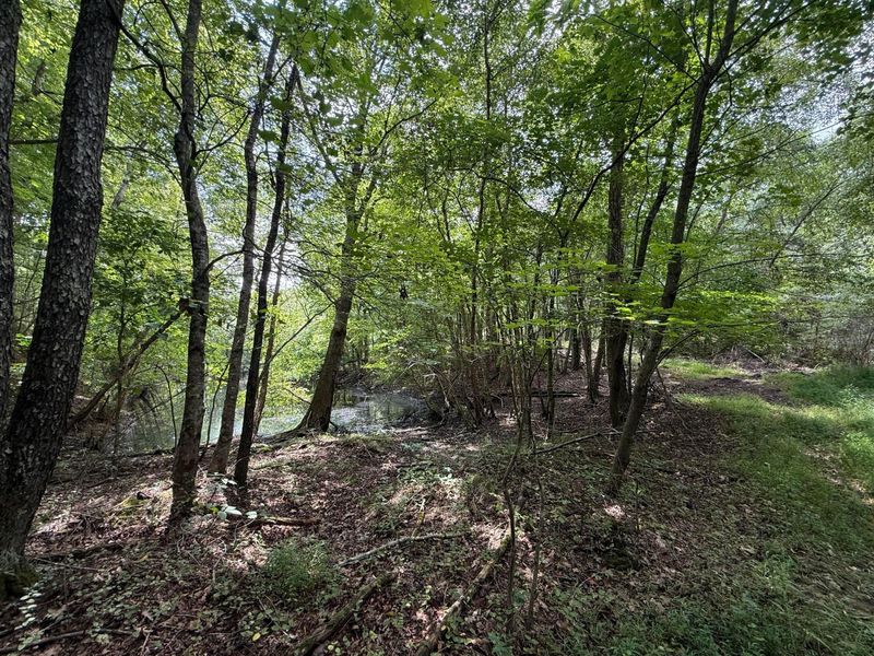 1480 Dark Hollow Road , Jackson, OH 45640 Photo 36