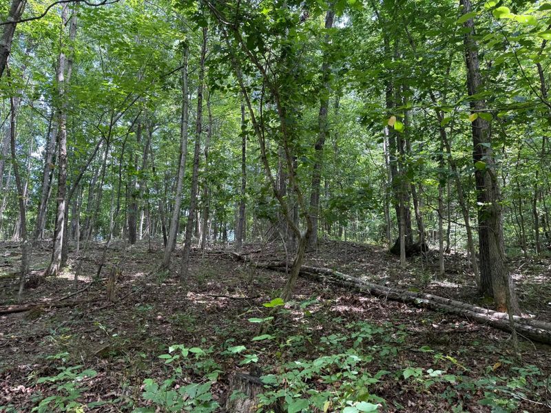 1480 Dark Hollow Road , Jackson, OH 45640 Photo 39