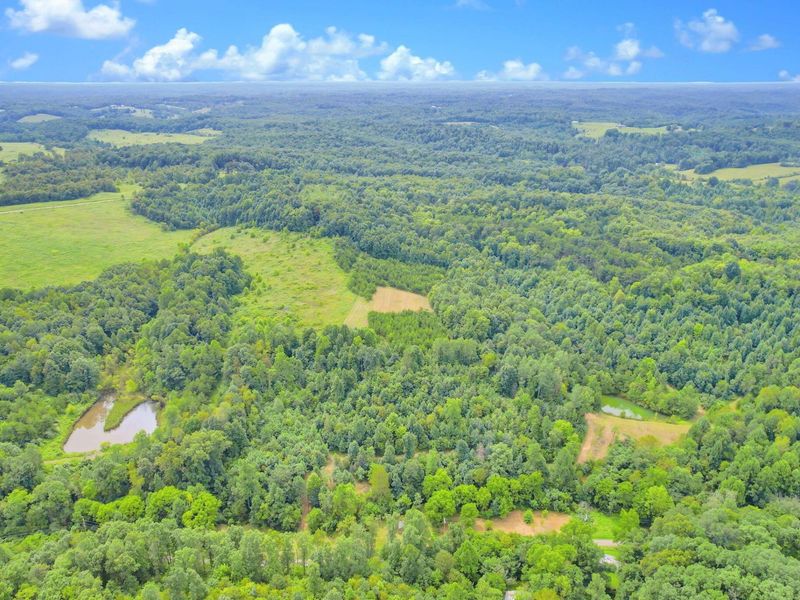 1480 Dark Hollow Road , Jackson, OH 45640 Photo 4