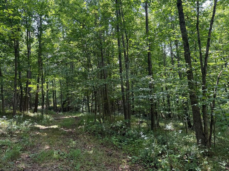 1480 Dark Hollow Road , Jackson, OH 45640 Photo 40