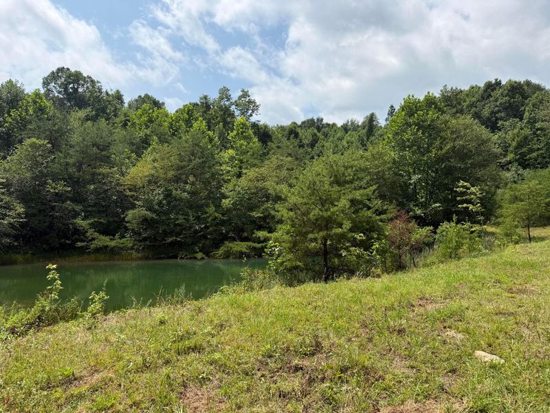 1480 Dark Hollow Road , Jackson, OH 45640 Photo 43